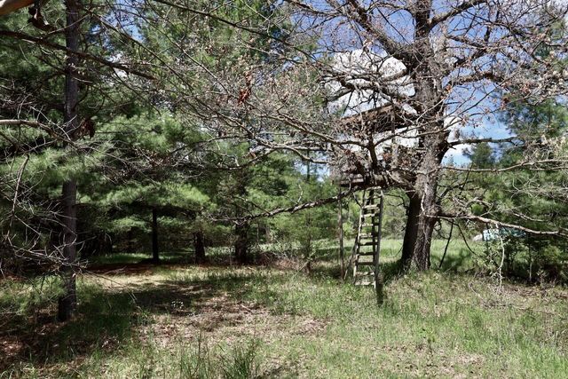 5826 S Morrison Road, Alger, MI 48610