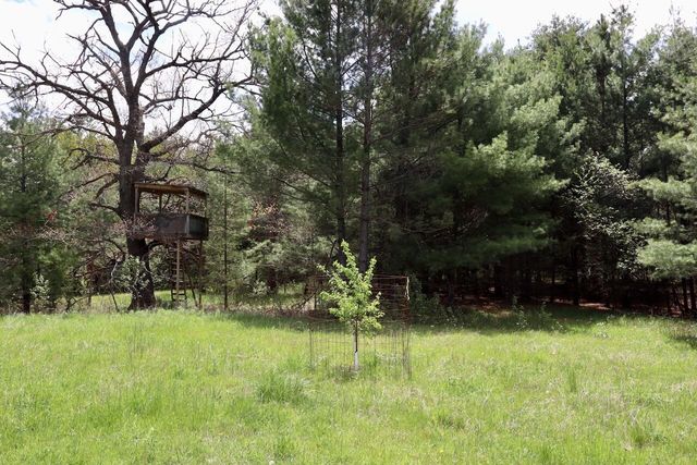 5826 S Morrison Road, Alger, MI 48610