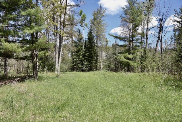 5826 S Morrison Road, Alger, MI 48610