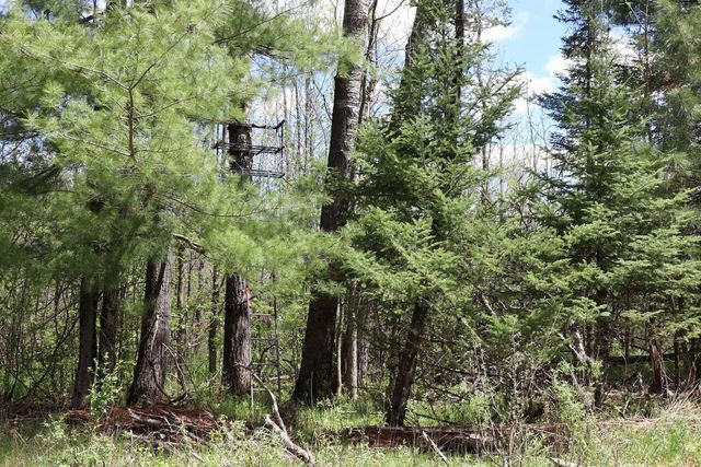 5826 S Morrison Road, Alger, MI 48610