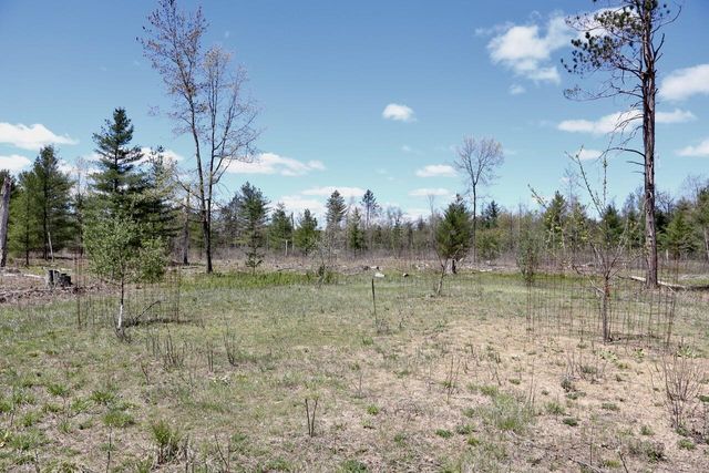 5826 S Morrison Road, Alger, MI 48610