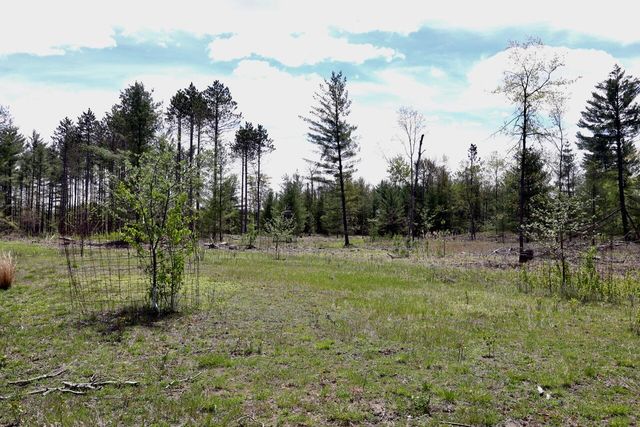 5826 S Morrison Road, Alger, MI 48610