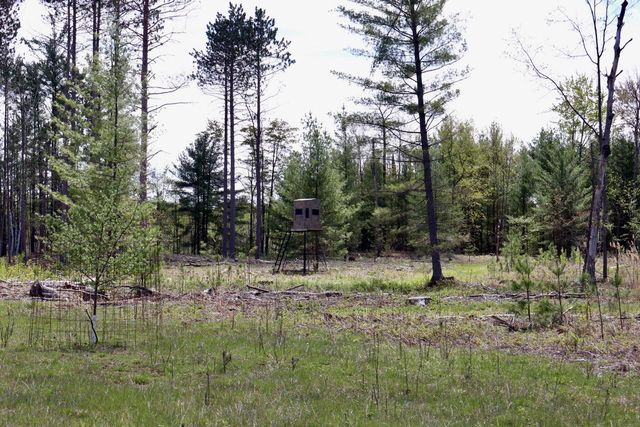 5826 S Morrison Road, Alger, MI 48610