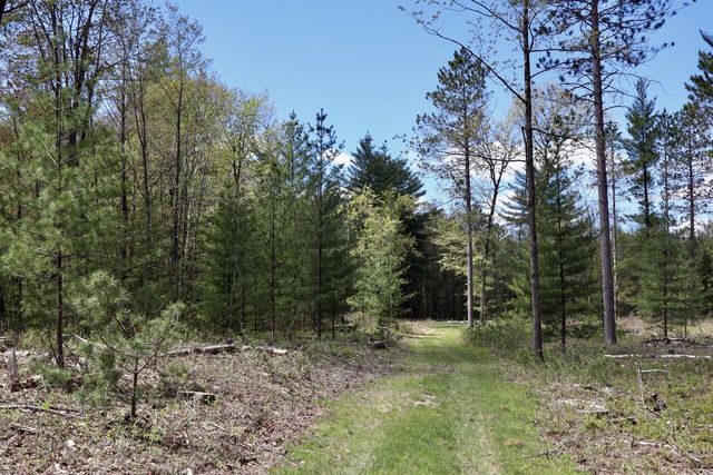 5826 S Morrison Road, Alger, MI 48610
