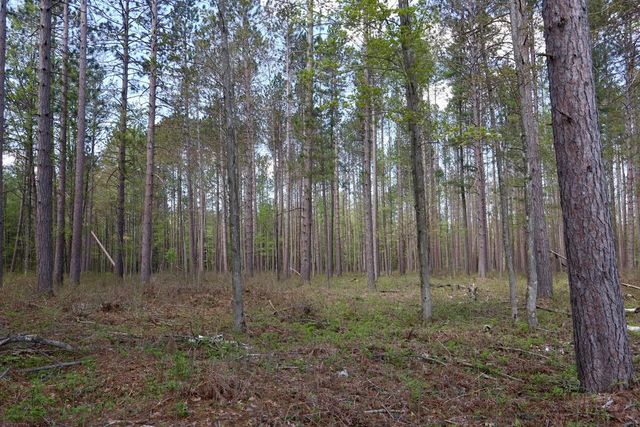5826 S Morrison Road, Alger, MI 48610