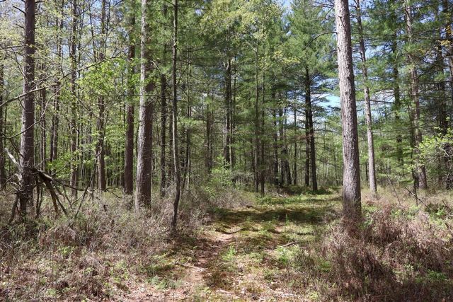 5826 S Morrison Road, Alger, MI 48610