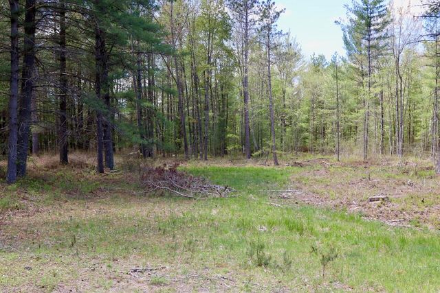 5826 S Morrison Road, Alger, MI 48610