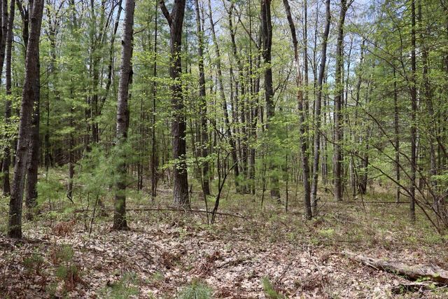 5826 S Morrison Road, Alger, MI 48610