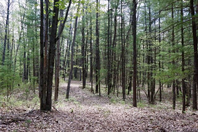 5826 S Morrison Road, Alger, MI 48610