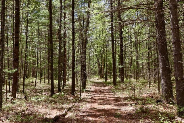 5826 S Morrison Road, Alger, MI 48610