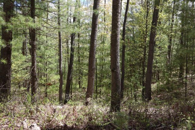 5826 S Morrison Road, Alger, MI 48610