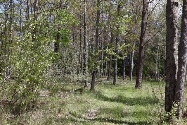 5826 S Morrison Road, Alger, MI 48610