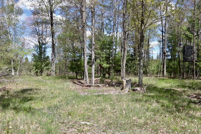 5826 S Morrison Road, Alger, MI 48610