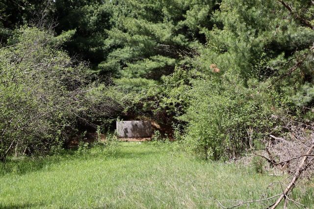 5826 S Morrison Road, Alger, MI 48610