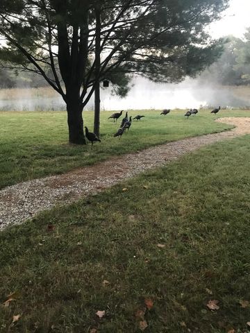 5826 S Morrison Road, Alger, MI 48610