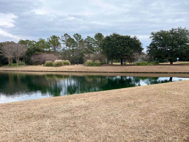 987 Blue Stem Dr Unit 40C, Pawleys Island, SC 29585