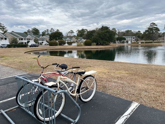 987 Blue Stem Dr Unit 40C, Pawleys Island, SC 29585