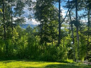 23 Mountain Parkway, Mill Spring, NC 28756