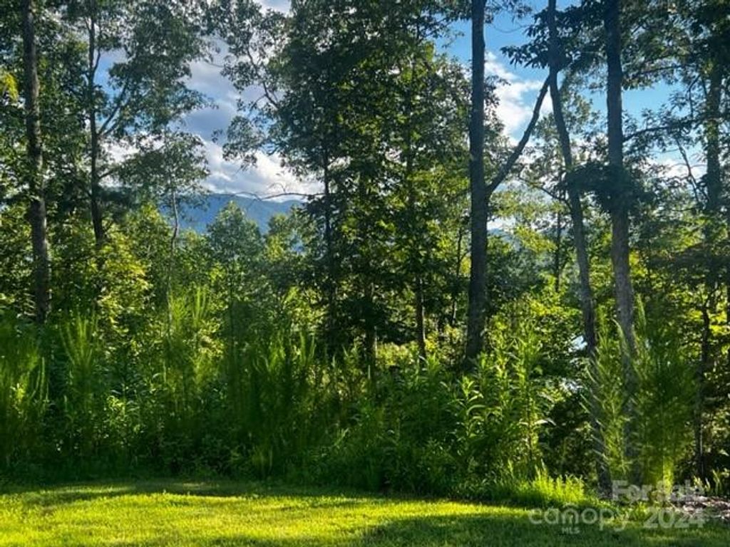 23 Mountain Parkway, Mill Spring, NC 28756