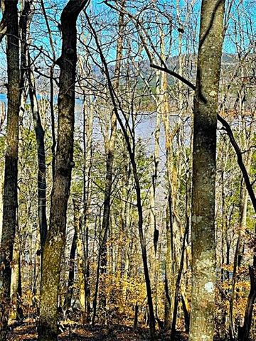 0 Overlook Drive, Chatsworth, GA 30705