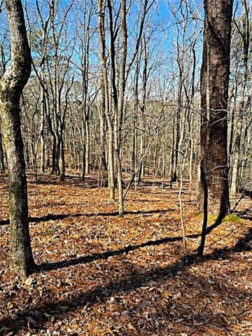 0 Overlook Drive, Chatsworth, GA 30705
