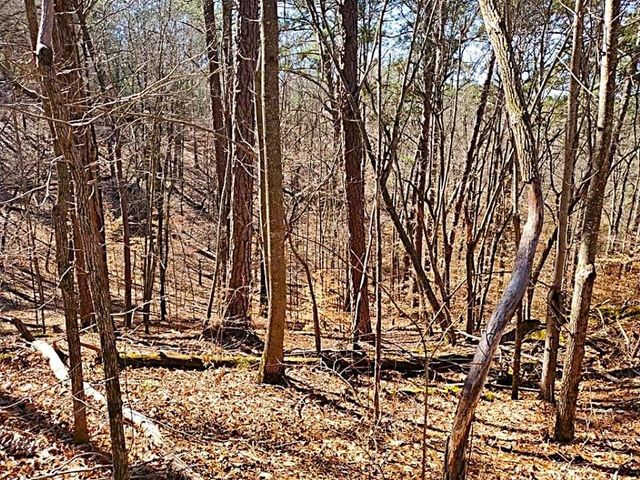 0 Overlook Drive, Chatsworth, GA 30705