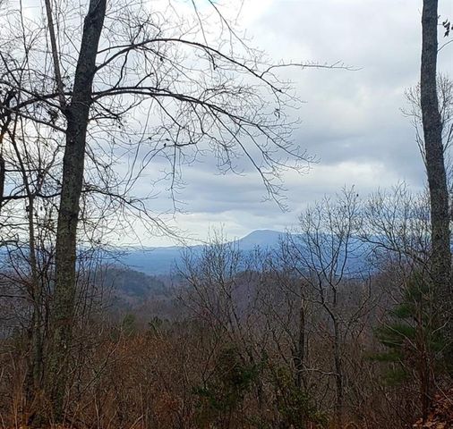 0 Overlook Drive, Chatsworth, GA 30705