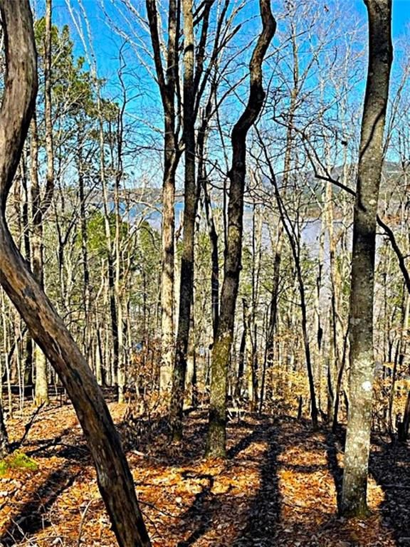 0 Overlook Drive, Chatsworth, GA 30705