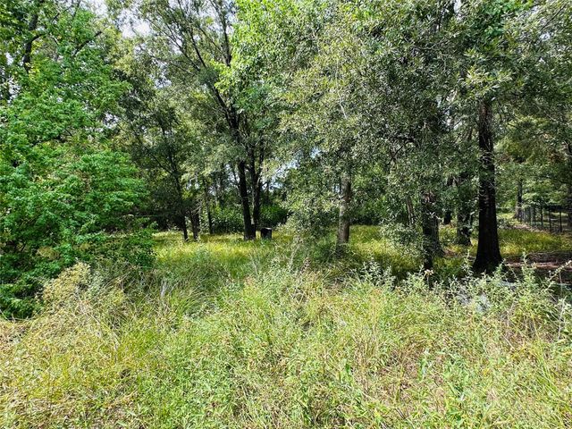 619 Lakeville Drive, Kingwood, TX 77339
