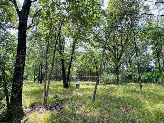 619 Lakeville Drive, Kingwood, TX 77339