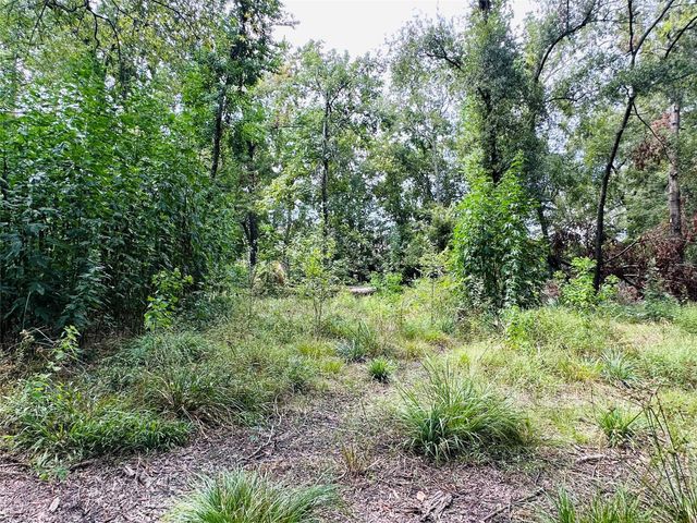 619 Lakeville Drive, Kingwood, TX 77339
