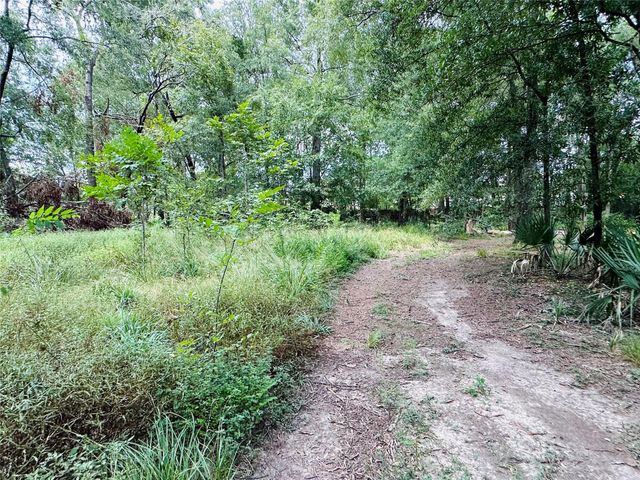 619 Lakeville Drive, Kingwood, TX 77339
