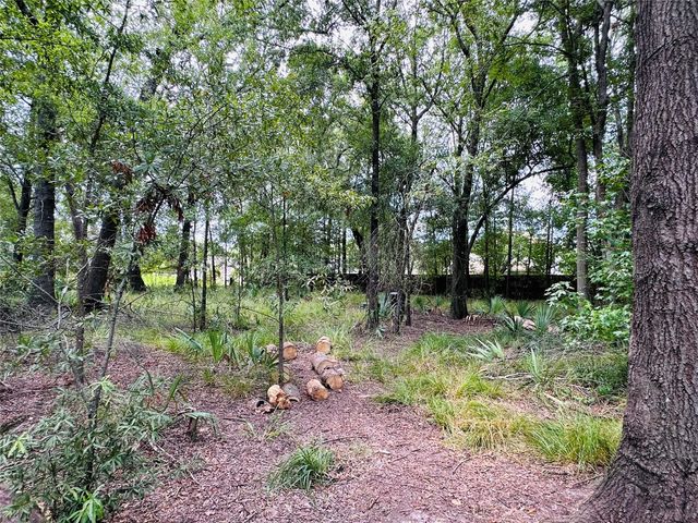 619 Lakeville Drive, Kingwood, TX 77339