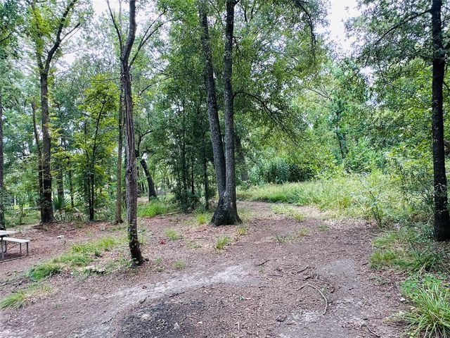 619 Lakeville Drive, Kingwood, TX 77339