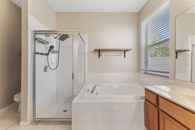 3031 DOWNAN POINT DRIVE, Land O Lakes, FL 34638