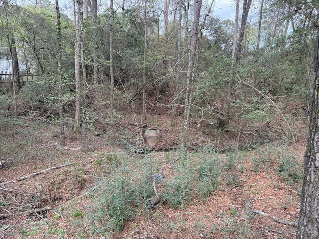 76 Corkwood Road, Trinity, TX 75862