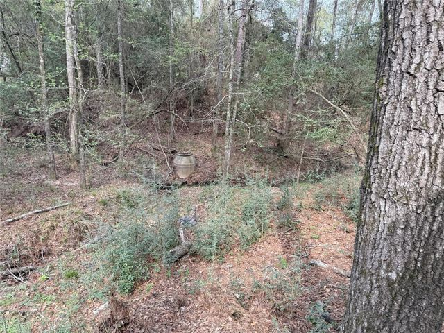 76 Corkwood Road, Trinity, TX 75862