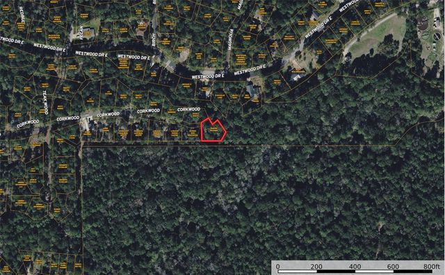 76 Corkwood Road, Trinity, TX 75862