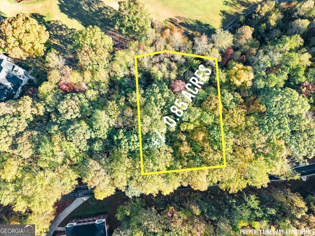 0 Orchard Drive, Clarkesville, GA 30523 — photo 3