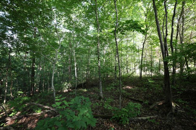 21 Holcomb Cir, Kingston Springs, TN 37082