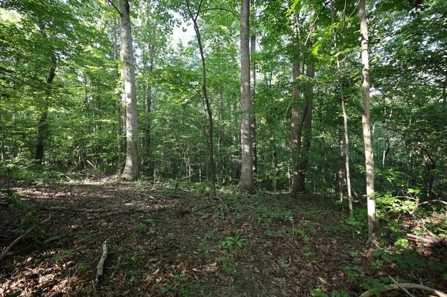 21 Holcomb Cir, Kingston Springs, TN 37082