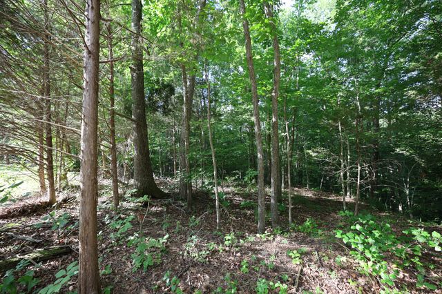 21 Holcomb Cir, Kingston Springs, TN 37082