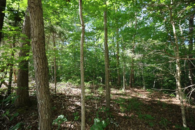 21 Holcomb Cir, Kingston Springs, TN 37082