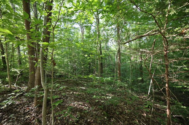 21 Holcomb Cir, Kingston Springs, TN 37082