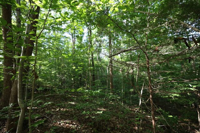 21 Holcomb Cir, Kingston Springs, TN 37082