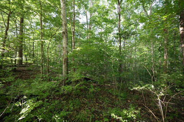 21 Holcomb Cir, Kingston Springs, TN 37082