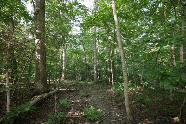 21 Holcomb Cir, Kingston Springs, TN 37082