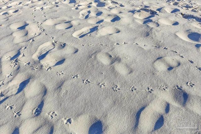 8501 Gulf Blvd PH2F, Navarre Beach, FL 32566