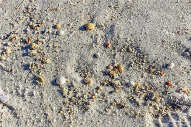 8501 Gulf Blvd PH2F, Navarre Beach, FL 32566