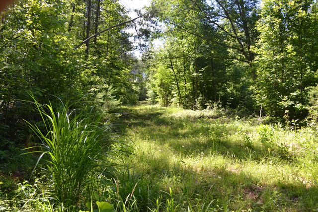 94 Bryants Lake RD, Bassett, VA 24055